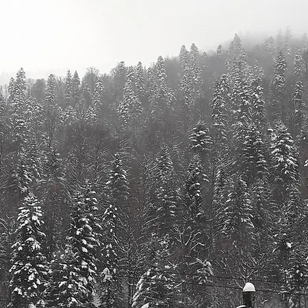 Vila Alexandra Ski Holiday home Azuga