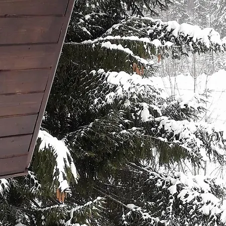 Holiday home Vila Alexandra Ski