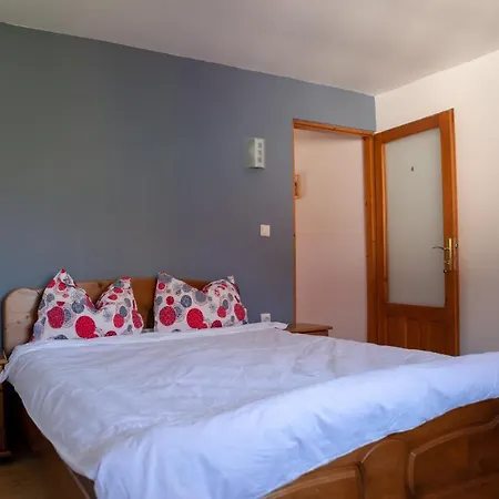 Vila Alexandra Ski Azuga