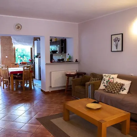 Holiday home Vila Alexandra Ski *