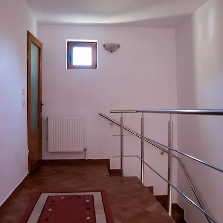 Holiday home Vila Alexandra Ski Azuga