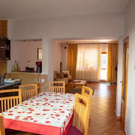 Vila Alexandra Ski Holiday home Azuga