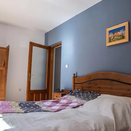 Vila Alexandra Ski